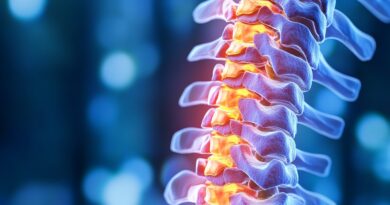 Como A Coluna Vertebral Afeta A Digestão