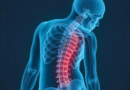 Ergonomia No Trabalho Para Proteger A Coluna